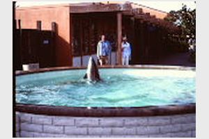 310 Sea World.JPG